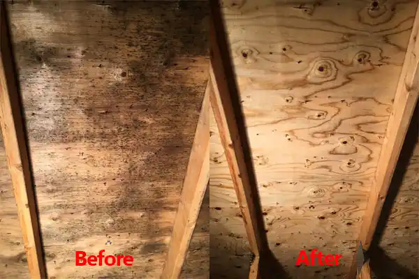 water damage restoration service Norway